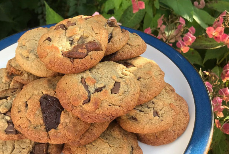 Protein Cookies
